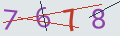 verifycode